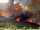 Seit Beginn der Brände sind bereits rund 273'000 Hektar Land von fast 1800 Feuern verwüstet worden. (Archivbild)