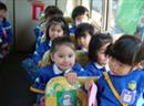 Kurz nach dem Erdbeben hat der Kindergarten den Bus mit den Kindern in Richtung Meer geschickt.(Symbolbild)