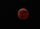 Seltenes Naturschauspiel: Der Begleiter unserer Erde ist während der Nacht auf Montag zwischen 3 und 5.30 Uhr in einem geisterhaft roten Licht - als sogenannter Blutmond - zu bewundern.