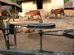 Die Rinder treiben den Generator an und erzeugen damit Strom für die Laptops.
