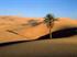 Aufregend: Sahara-Abenteuerurlaub inklusive Entführung.
